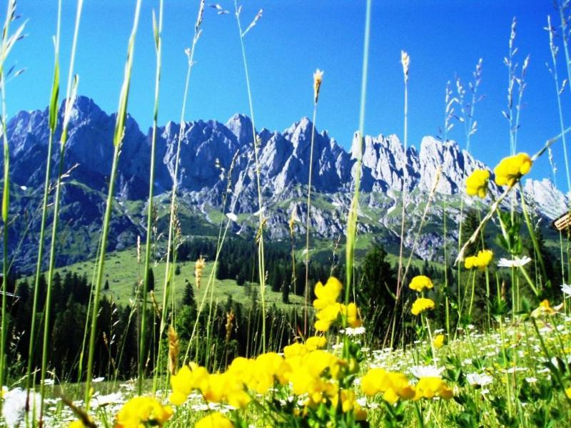 Gaestehaus Gschwandtner Mühlbach am Hochkönig Eksteriør bilde